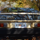Image for article titled This 1985 TVR 280i Might Be Your Golden Opportunity